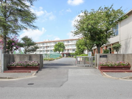 ���ӊ��@-