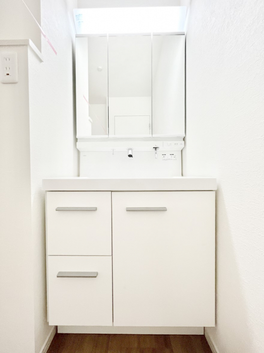 ʑEʏ@傫₷OʋŐʑ́AgȂ݃`FbN┧̂ɂ߂łB 