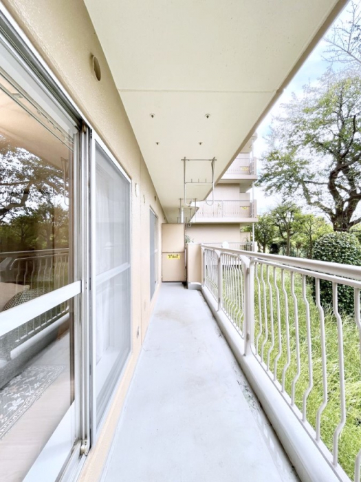 oRj[@Sn悢Ȃ炨󕨂ł