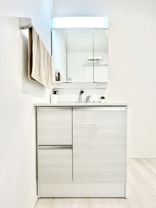 ʑEʏ@傫₷OʋŐʑ́AgȂ݃`FbN┧̂ɂ߂łB 