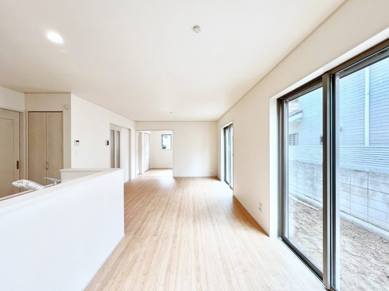 rO@傫ȑ炽Ղ̗zƕ郊rO