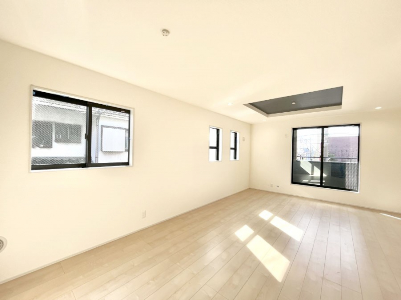 rO@傫ȑ炽Ղ̗zƕ郊rO