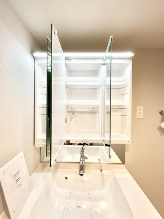 ̑ρ@֗ȃlɂŁAXbLg₷ʎ  