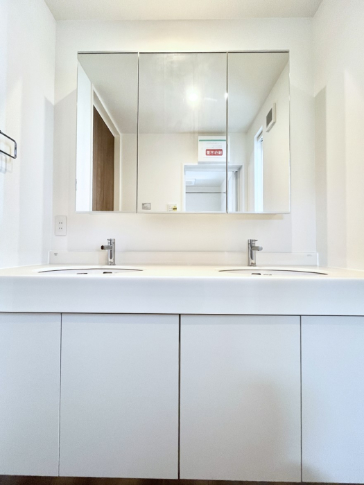 ʑEʏ@傫₷OʋŐʑ́AgȂ݃`FbN┧̂ɂ߂łB 