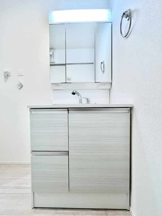 ���ʑ�E���ʏ��@�X�^�C�����O�ɕ֗��ȎO�ʋ��A�~���[�L���r�l�b�g�ōׂ������X�b�L��