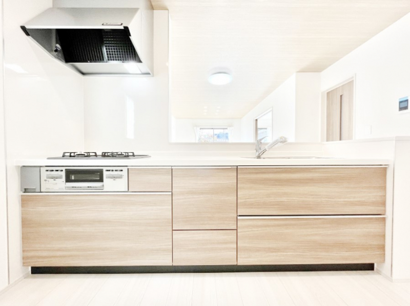 Lb`@VXeLb`̓VvŃXbLO̗ȂfUCȂ̂ŉigI