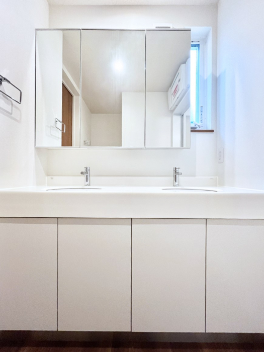 ʑEʏ@傫₷OʋŐʑ́AgȂ݃`FbN┧̂ɂ߂łB 