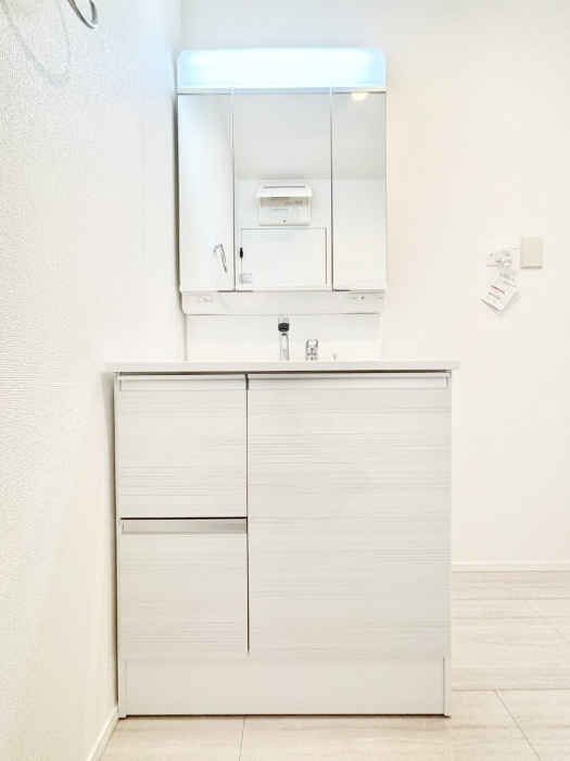 ʑEʏ@傫₷OʋŐʑ́AgȂ݃`FbN┧̂ɂ߂łB 