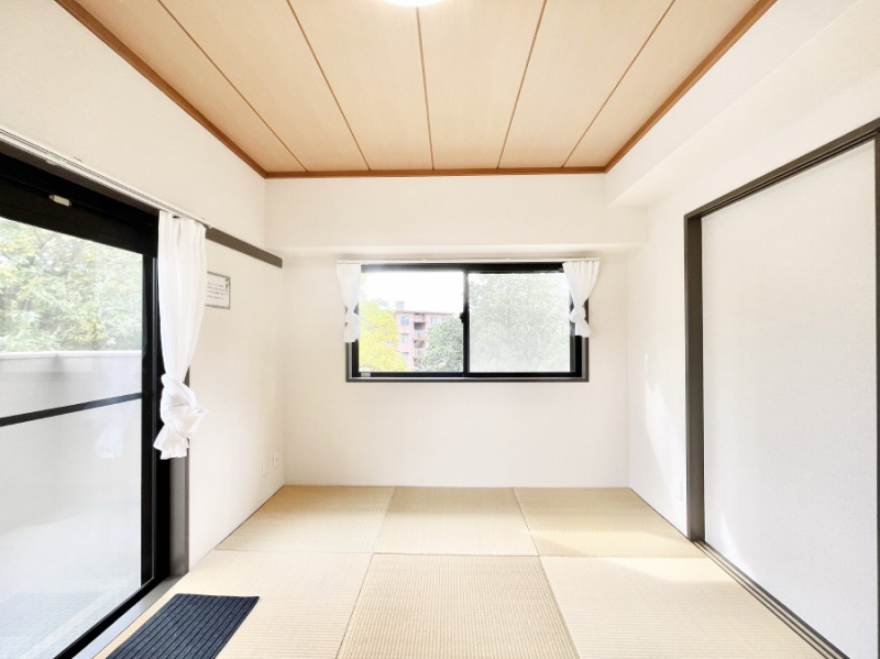 ̑ρ@قƈꑧB̕炵ɖƈ炬炵Ăa  