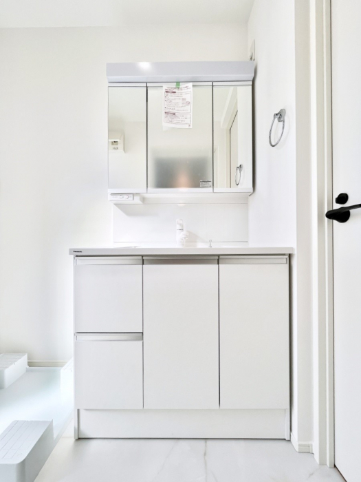 ʑEʏ@傫₷OʋŐʑ́AgȂ݃`FbN┧̂ɂ߂łB 