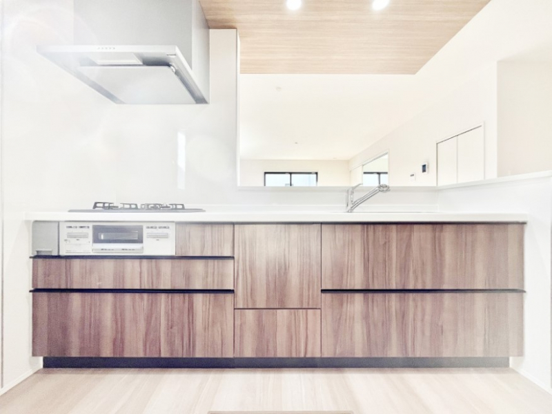 Lb`@VXeLb`̓VvŃXbLO̗ȂfUCȂ̂ŉigI