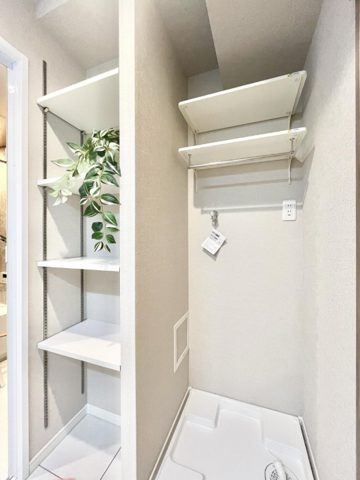 ̑ρ@֗ȃlɂŁAXbLg₷ʎ  