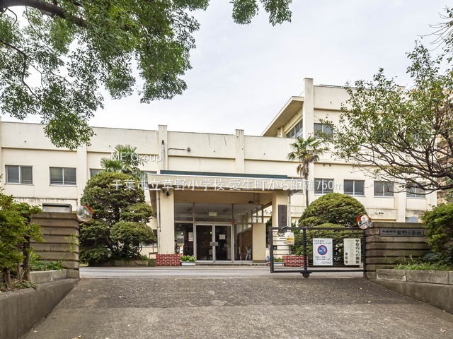 ӊ@wZ 750m ts쏬wZ