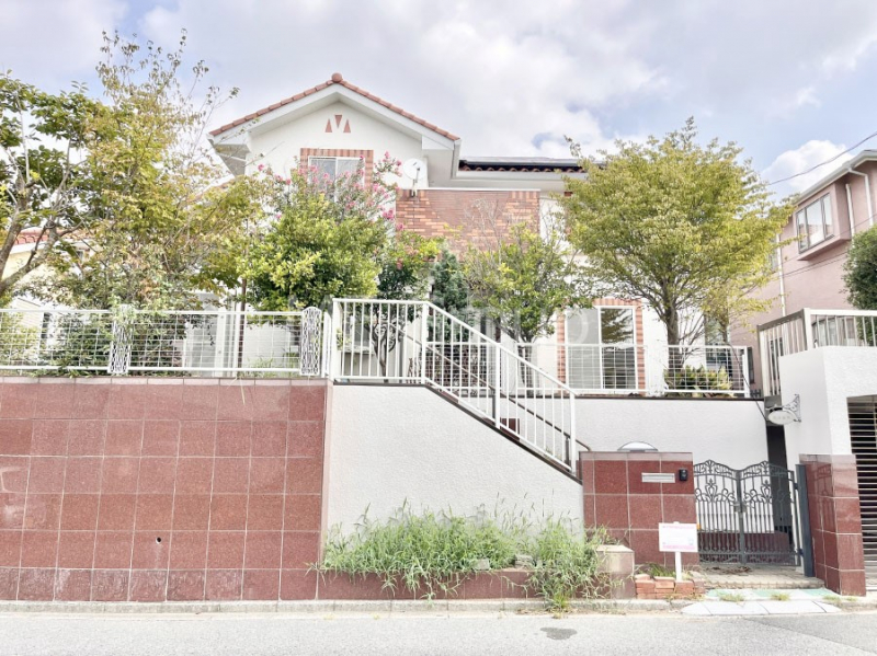 nOώʐ^@Ƃ肪Ί𐶂ސSn悢 