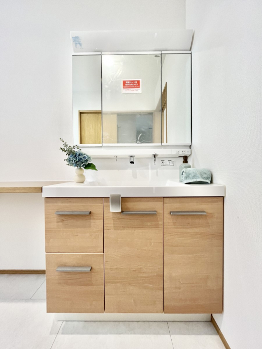 ʑEʏ@傫₷OʋŐʑ́AgȂ݃`FbN┧̂ɂ߂łB 