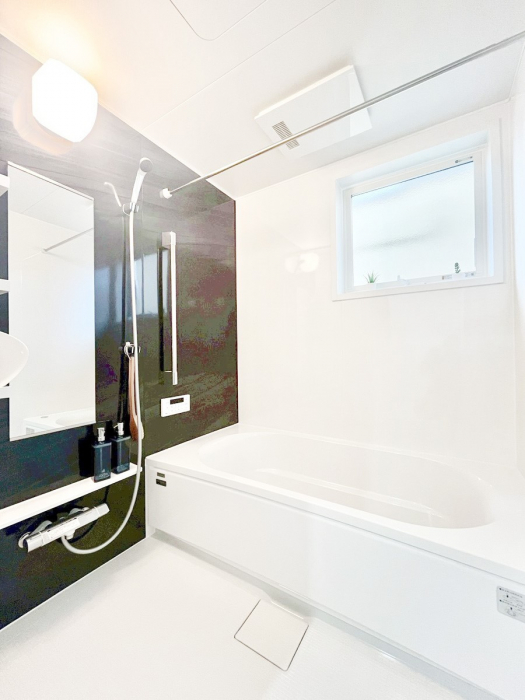 @̂_[NJ[ɂoX[1̔tbVI