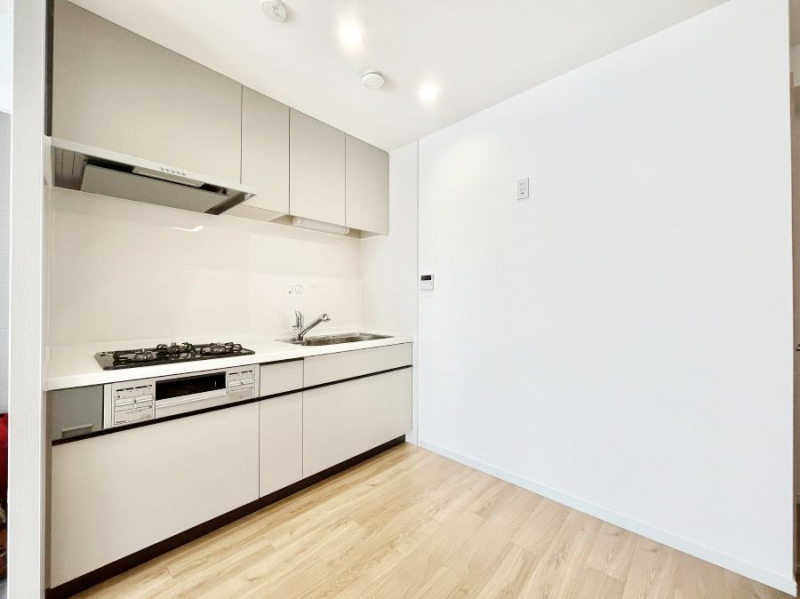 �L�b�`���@�������̂������ŉƑ��̏Ί炪�L����܂��@