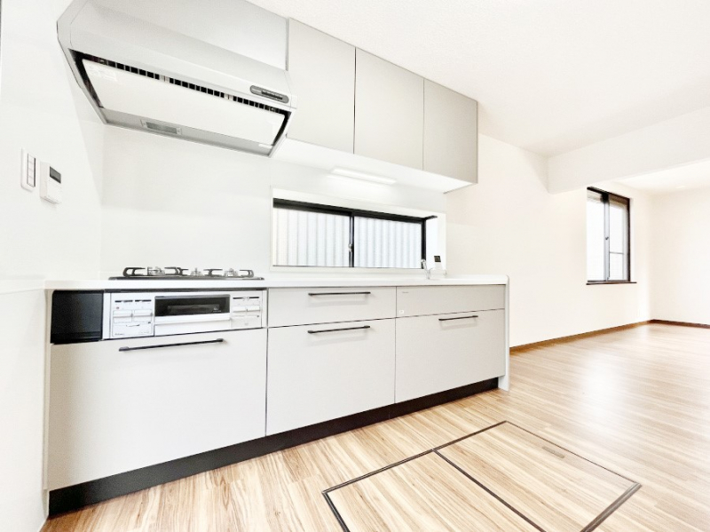 �L�b�`���@��Ƃ肠��L�b�`���X�y�[�X�ł�������H��̌�Еt�����X���[�Y�ɁI