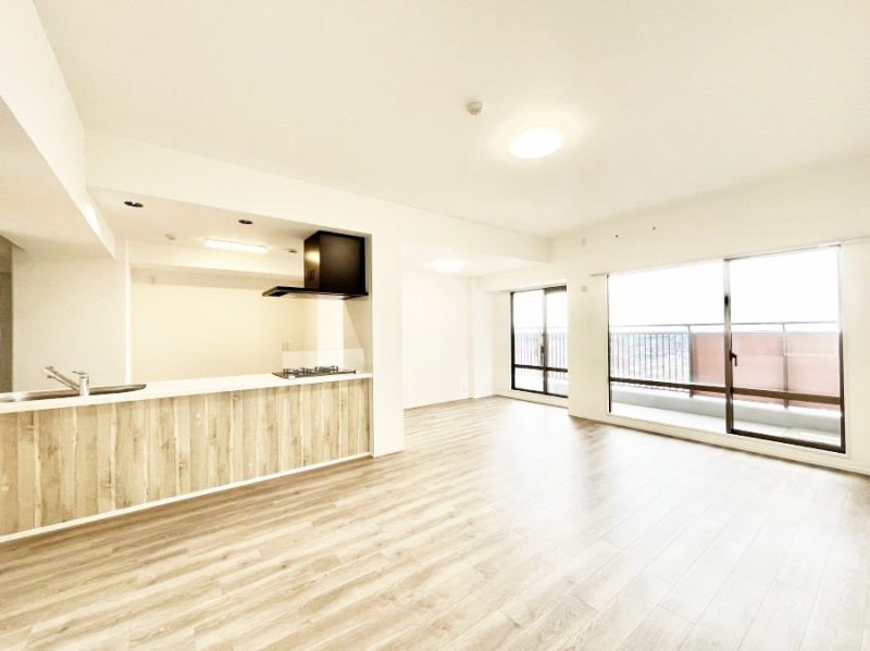 rO@傫ȑ炽Ղ̗zƕ郊rO