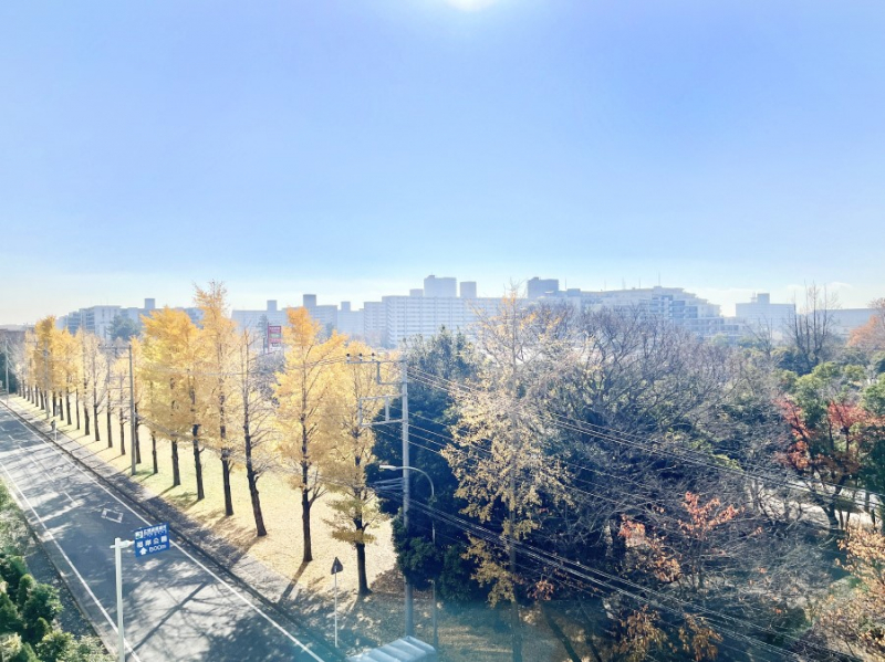 ���̑��@�o���R�j�[����̒��]�ł�