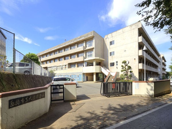 ӊ@wZ 1164m Ds匊wZ