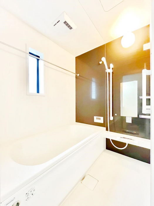 @̂_[NJ[ɂoX[1̔tbVI