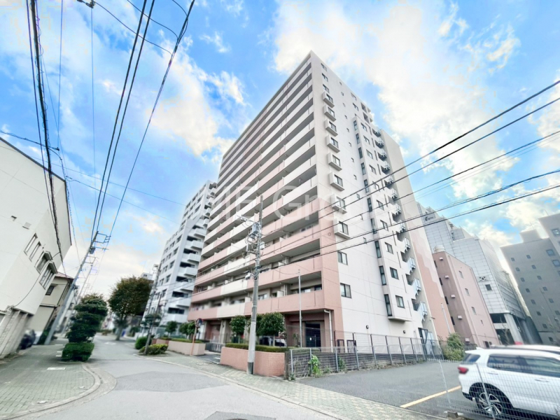 nOώʐ^@Ƃ肪Ί𐶂ސSn悢