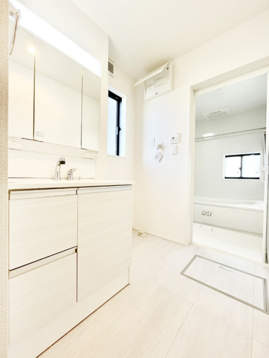 ���̑��@�_�炩�Ȓ��̌����������鑋���������ʎ�