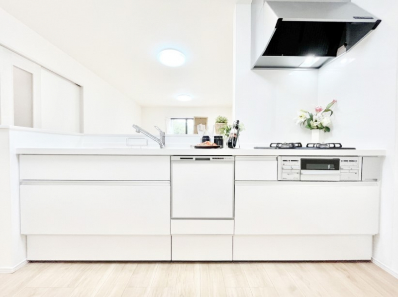 �L�b�`���@�V�X�e���L�b�`���̓V���v���ŃX�b�L�������O���̗��Ȃ��f�U�C���Ȃ̂ŉi���g�������I