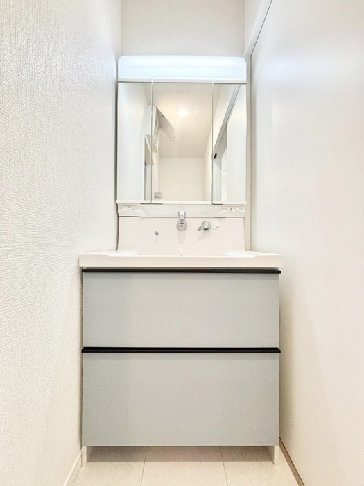 ���ʑ�E���ʏ��@�X�^�C�����O�ɕ֗��ȎO�ʋ��A�~���[�L���r�l�b�g�ōׂ������X�b�L��