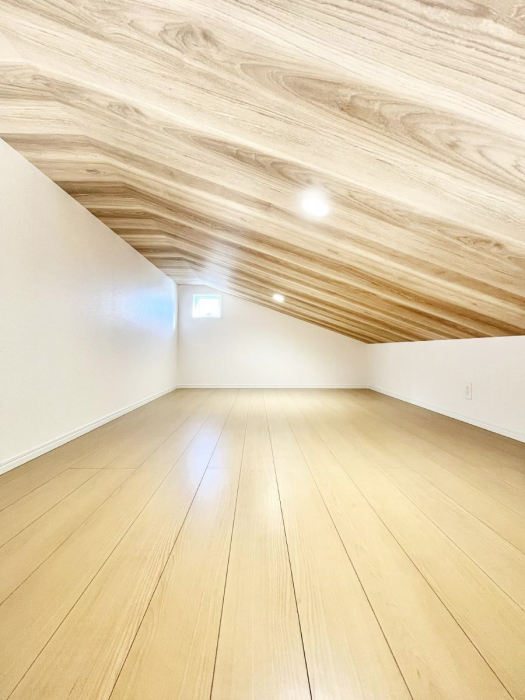 [@tg͎[QɂȂǁAACfAŉKԂɑϐgI ql̔閧nɂIH 