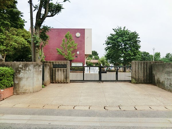 ӊ@wZ 290m lXslXwZ