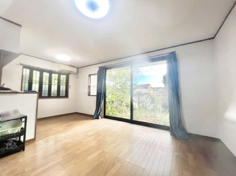 rO@傫ȑ炽Ղ̗zƕ郊rO