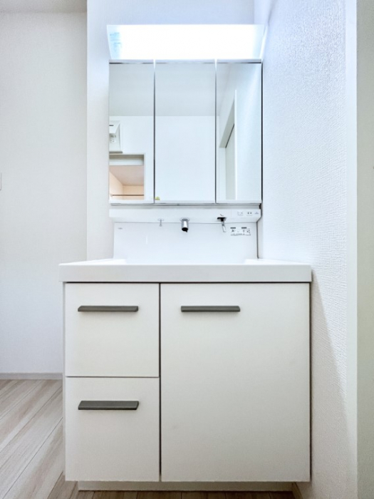 ʑEʏ@傫₷OʋŐʑ́AgȂ݃`FbN┧̂ɂ߂łB 