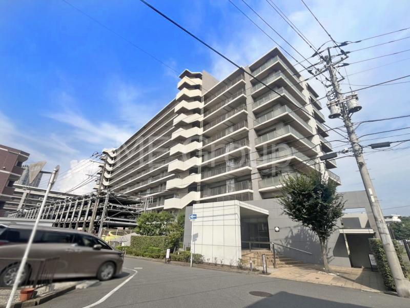 nOώʐ^@Ƃ肪Ί𐶂ސSn悢 