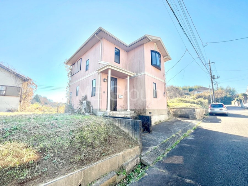 nOώʐ^@Ƃ肪Ί𐶂ސSn悢 