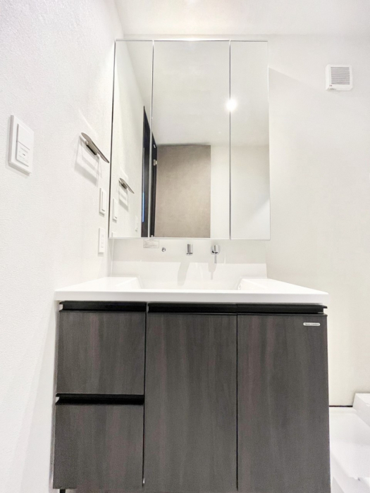 ���ʑ�E���ʏ��@�X�^�C�����O�ɕ֗��ȎO�ʋ��A�~���[�L���r�l�b�g�ōׂ������X�b�L��