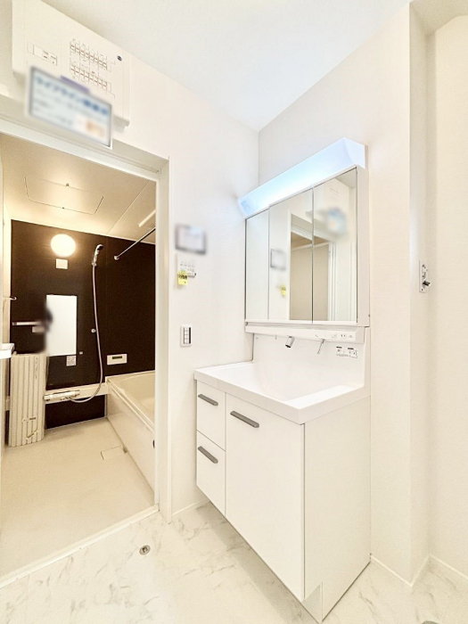 ���̑��@����������z���C�g�J���[����Ƃ������ʎ�