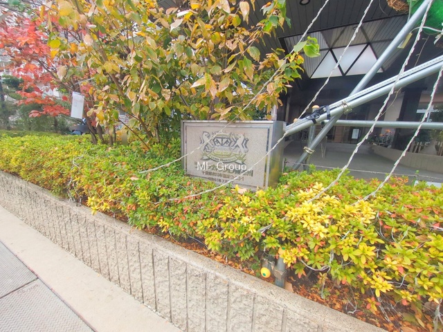 �G���g�����X�@-