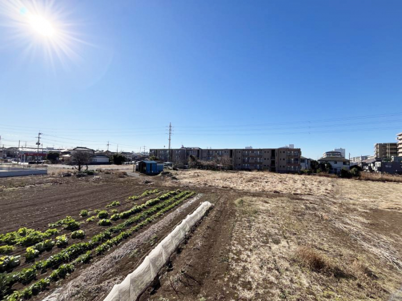 ���̑��@�o���R�j�[����̒��]�ł�