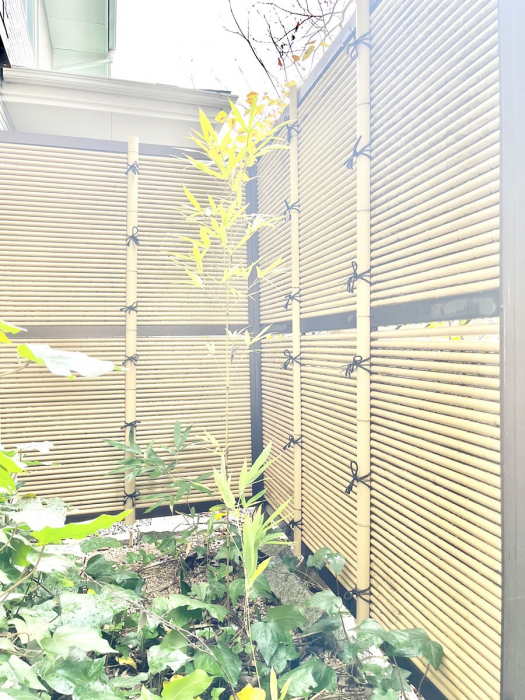 ���̑��@�G�߂̂��Ԃ�A���čʂ���v���X�I