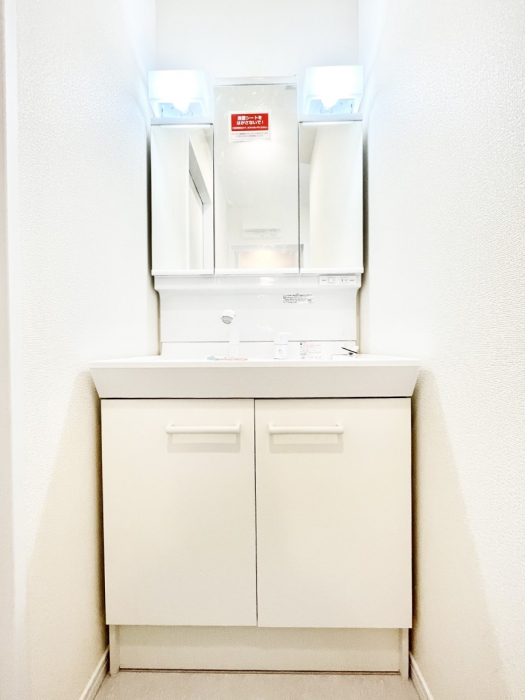 ���ʑ�E���ʏ��@�X�^�C�����O�ɕ֗��ȎO�ʋ��A�~���[�L���r�l�b�g�ōׂ������X�b�L��