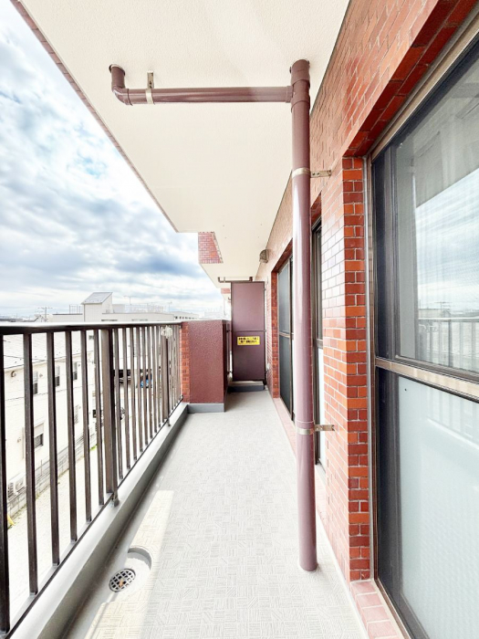 �o���R�j�[�@���ʂ��̗ǂ��o���R�j�[