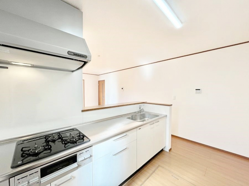 �L�b�`���@�J�E���^�[�z���Ɋy����������ׂ�B�����̂������������Ɣ��������Ȃ肻���ł��ˁB