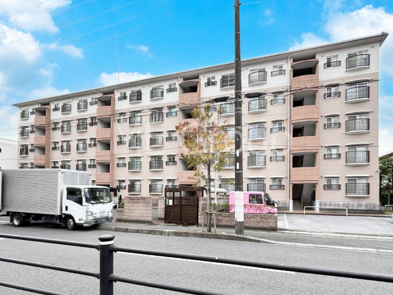 ���n�O�ώʐ^�@����z���ł��Ƒ��̏Ί���P��