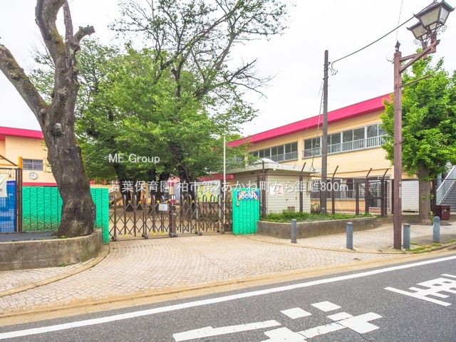 ���ӊ��@�c�t���E�ۈ牀 800m ��t�ۈ牀