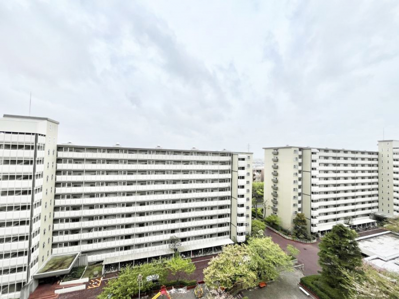 ���̑��@�o���R�j�[����̒��]�ł�