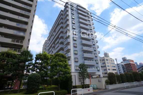 ���n�O�ώʐ^�@��ɂ��ꂢ�ɑ|���E��������Ă���G���g�����X  