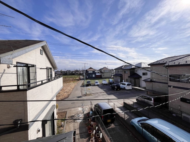 ���̑��@�o���R�j�[����̒��]�ł��B�S�n�悢����������ꂻ���ł��ˁI