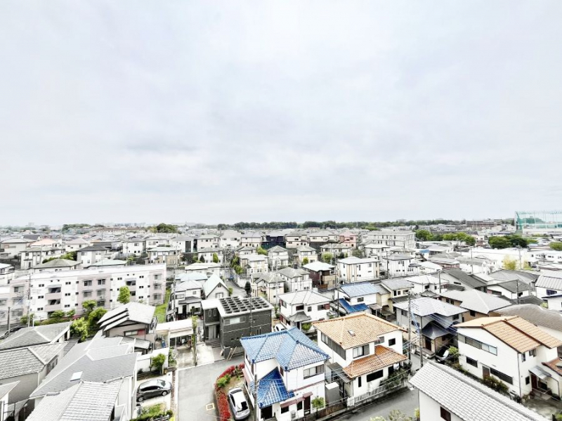 ���̑��@�o���R�j�[����̒��]�ł�